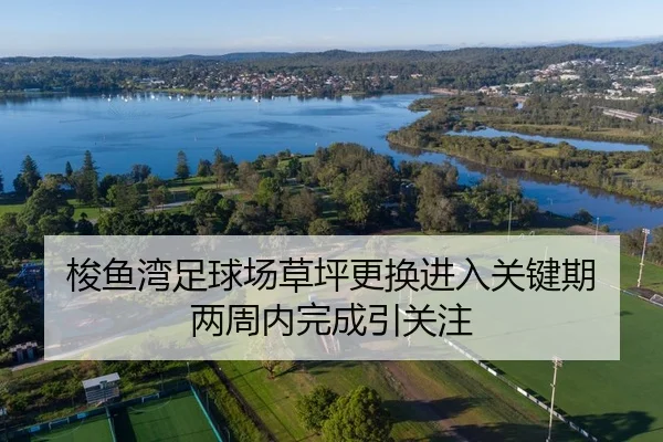 梭鱼湾足球场草坪更换进入关键期 两周内完成引关注（MangoSports）